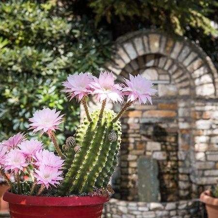 포르테리아 Elatos Country House B&B 외부 사진
